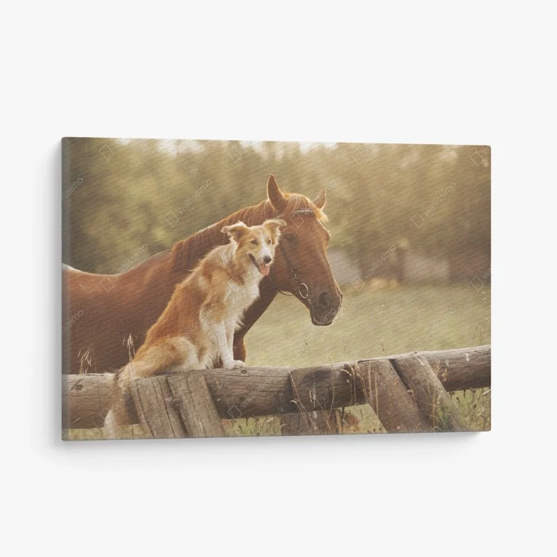 Canvas print sunlit companions: dog and horse
