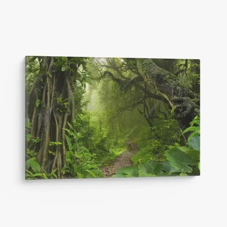 Canvas print lush misty forest trail • Wallissimo®