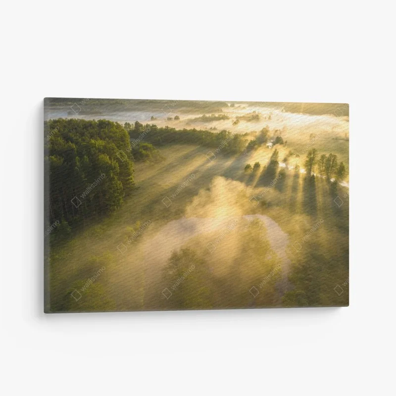 Canvas print golden morning over a misty river