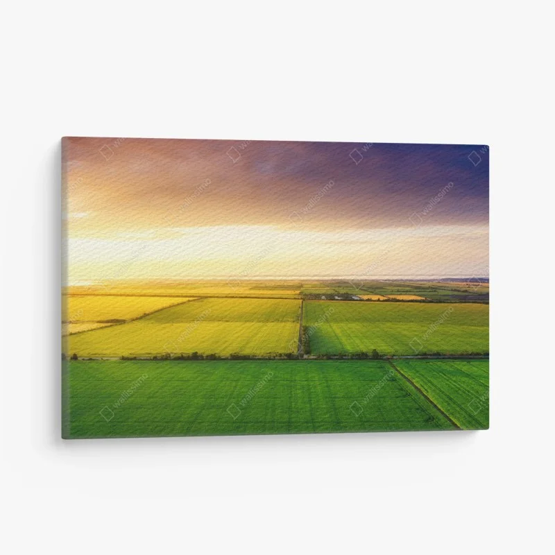 Canvas print golden sunset over green fields
