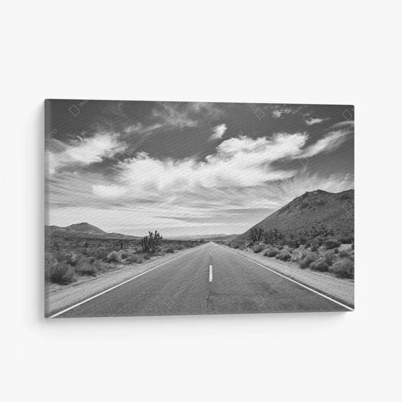 Canvas print Death Valley open road in black and white