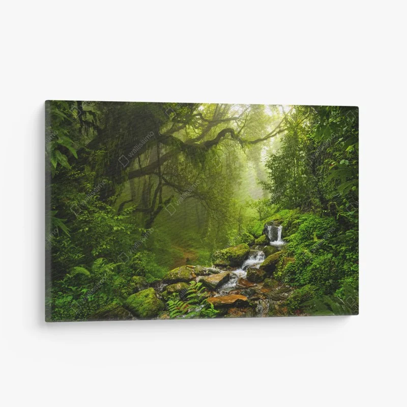 Canvas print • Wallissimo®