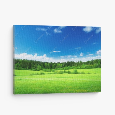 Canvas print spring meadow under a blue sky • Wallissimo®
