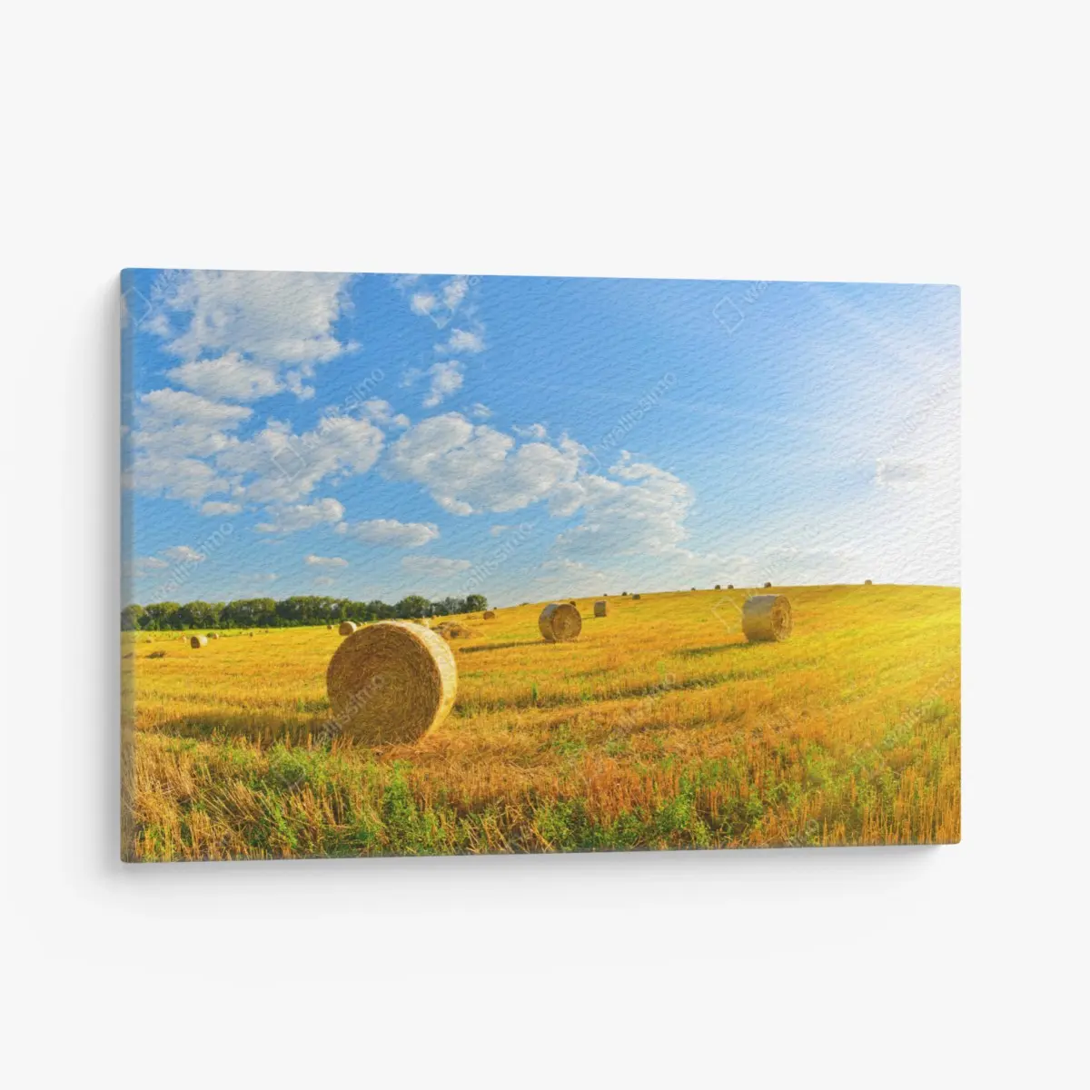 Canvas print golden hayfield under blue sky ⁕ Wallissimo® Canvas print golden hayfield under blue sky ⁕ Wallissimo®