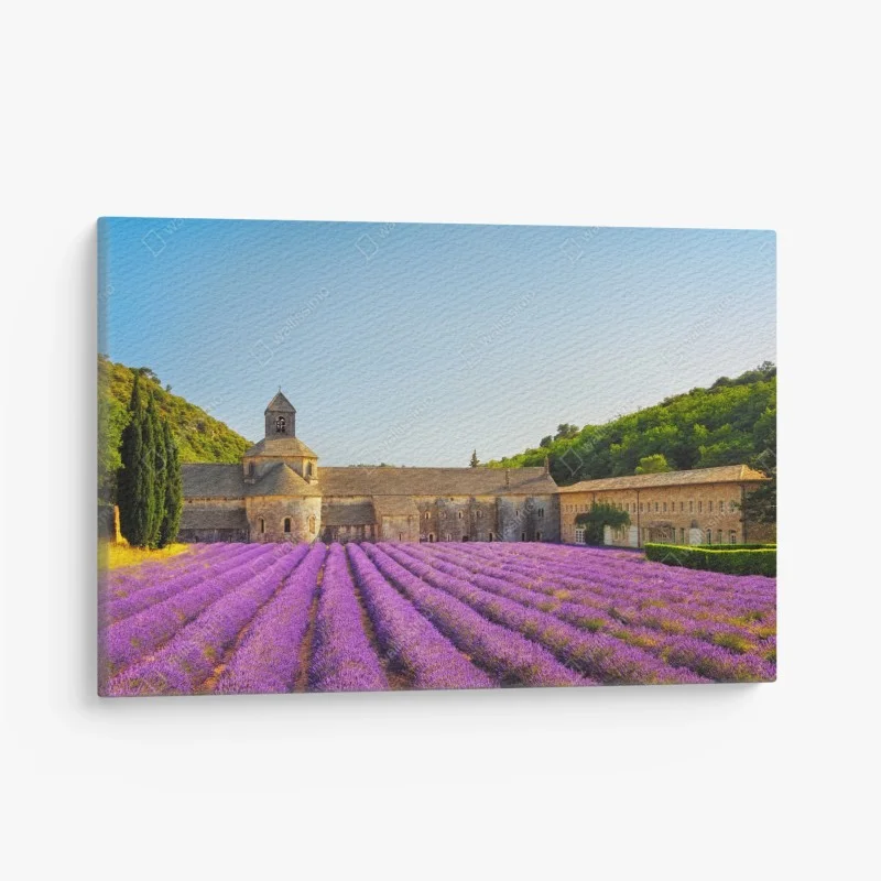 Canvas print lavender fields at Abbey of Sénanque, Provence