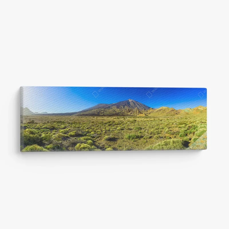 Canvas print Teide panorama in Tenerife national park