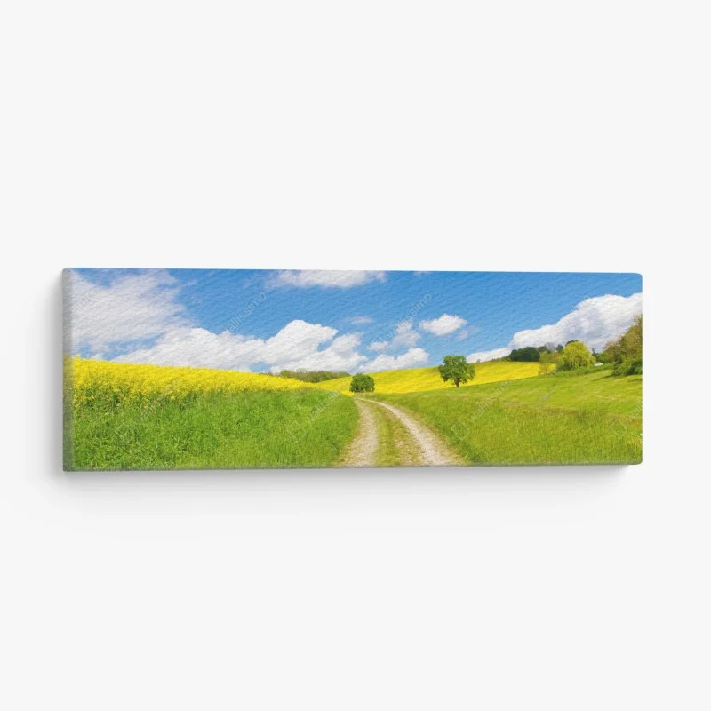 Canvas print sunny country lane through yellow fields