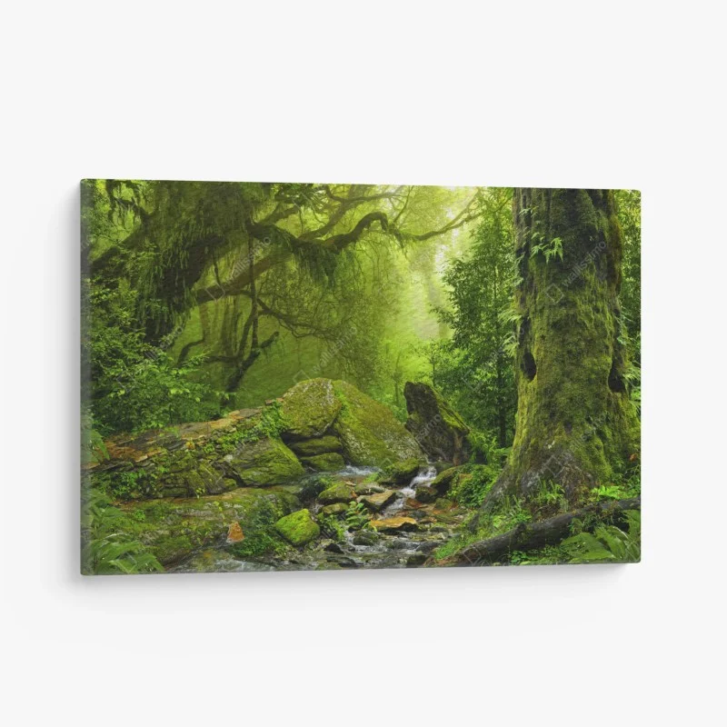 Canvas print moss-covered woodland stream