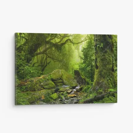 Canvas print moss-covered woodland stream • Wallissimo®