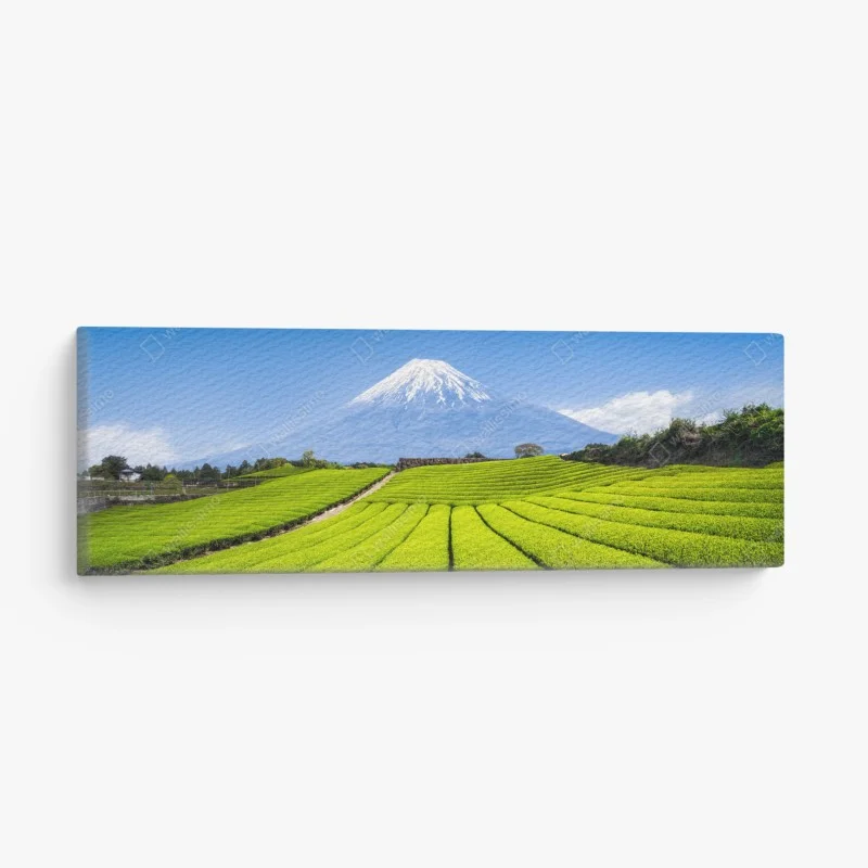 Canvas print lush tea fields beneath Mount Fuji ⁕ Wallissimo®