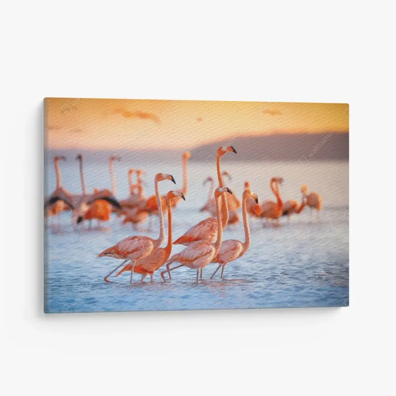 Canvas print pink flamingos at sunset
