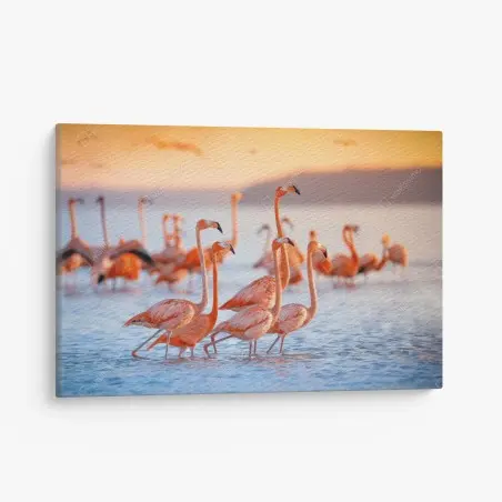 Canvas print pink flamingos at sunset • Wallissimo®