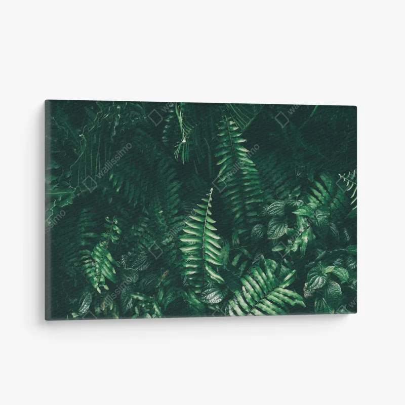 Canvas print tropical green leaves composition