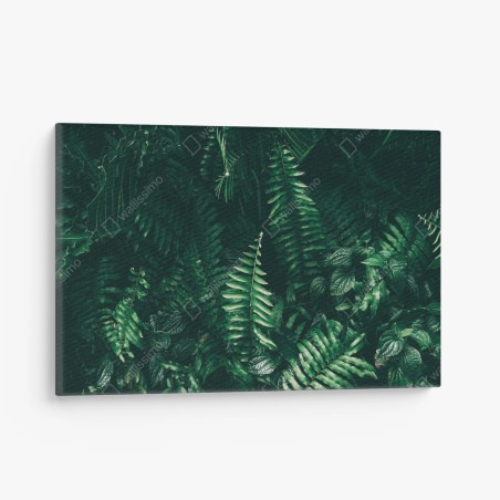 Canvas print tropical green leaves composition • Wallissimo®