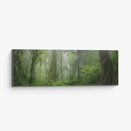 Canvas print misty tropical jungle pathway • Wallissimo®