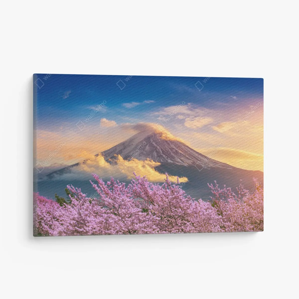 Canvas print Mount Fuji with cherry blossoms at sunrise ⁕ Wallissimo® Canvas print Mount Fuji with cherry blossoms at sunrise ⁕ Wallissimo®