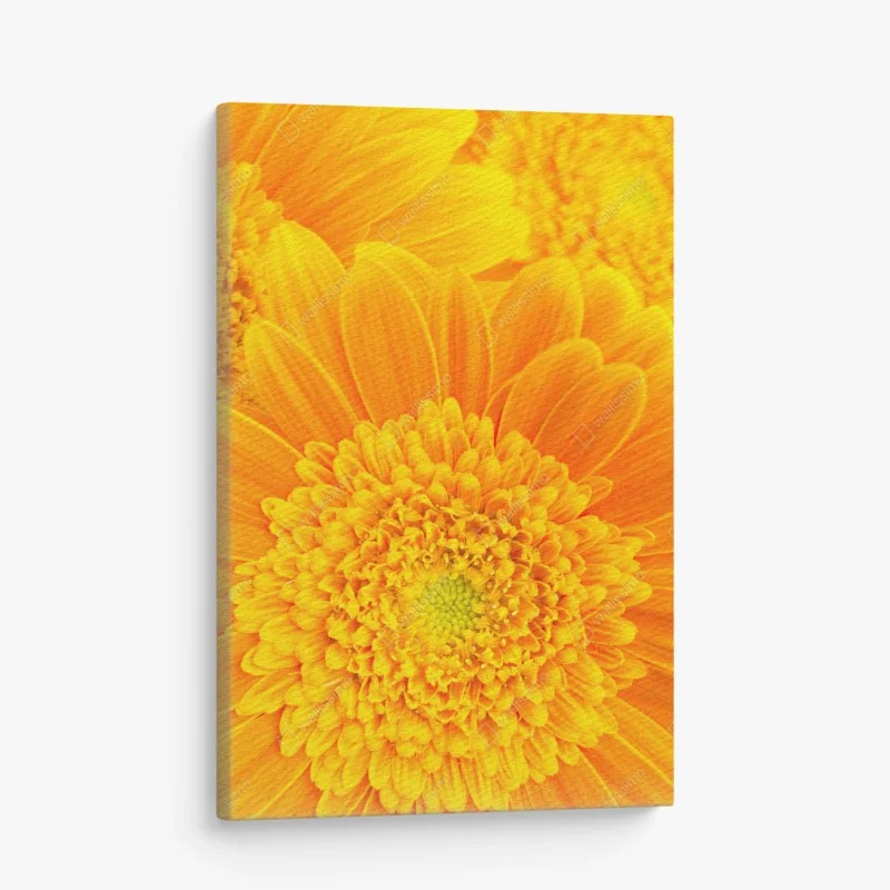 Canvas print vibrant orange gerbera bloom close-up