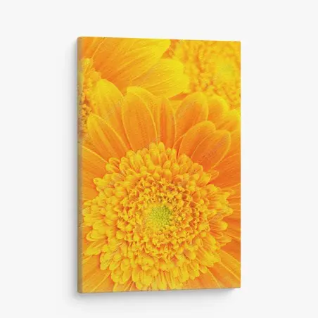 Canvas print vibrant orange gerbera bloom close-up • Wallissimo®