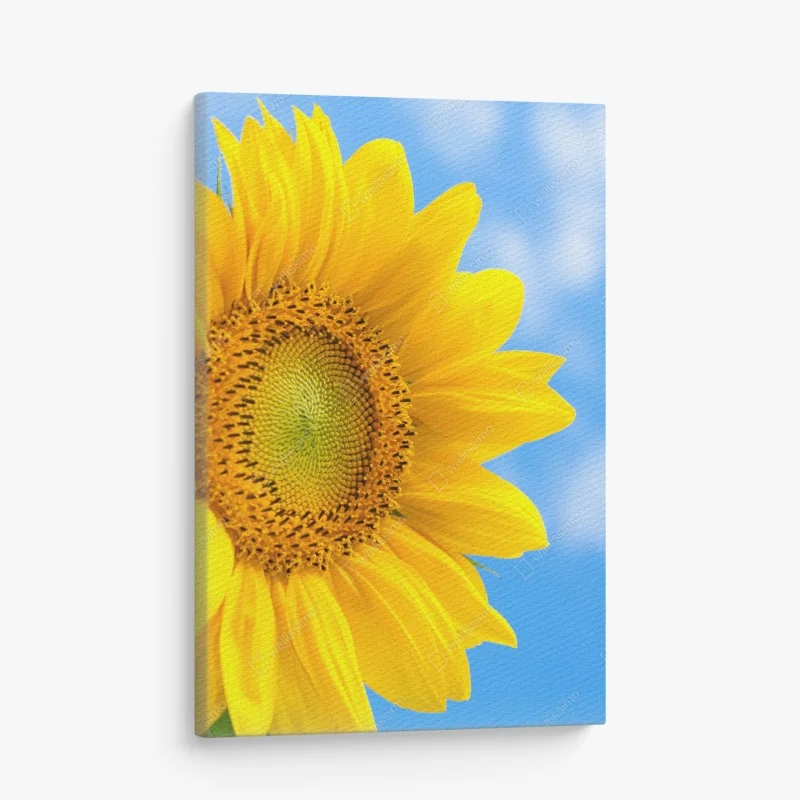 Canvas print bright sunflower close-up on blue sky