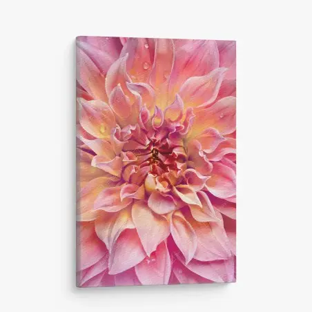 Canvas print pink dahlia bloom close-up • Wallissimo®