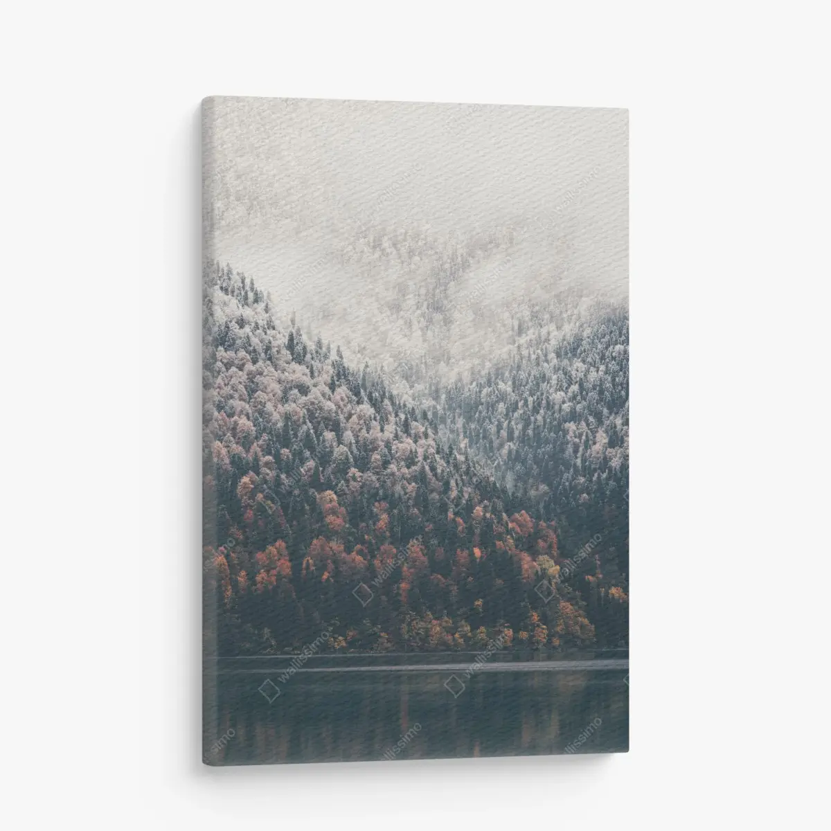 Canvas print autumn mist over mountain forest • Wallissimo®