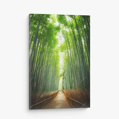 Canvas print pathway through Arashiyama bamboo grove • Wallissimo®