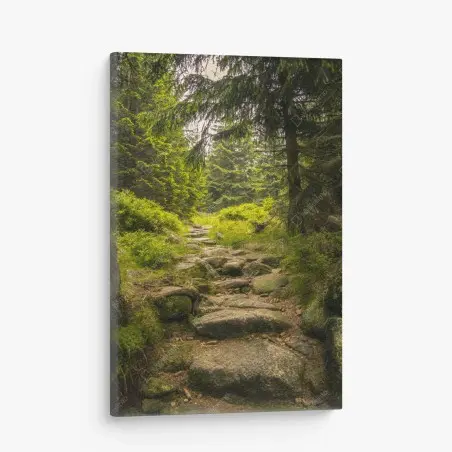 Canvas print serene forest path through evergreen woods • Wallissimo®