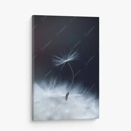 Canvas print delicate dandelion seed close-up • Wallissimo®