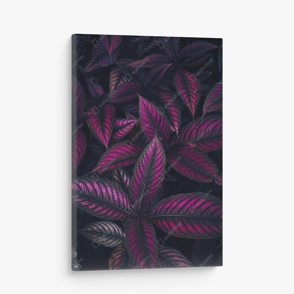 Canvas print vivid purple foliage pattern • Wallissimo®