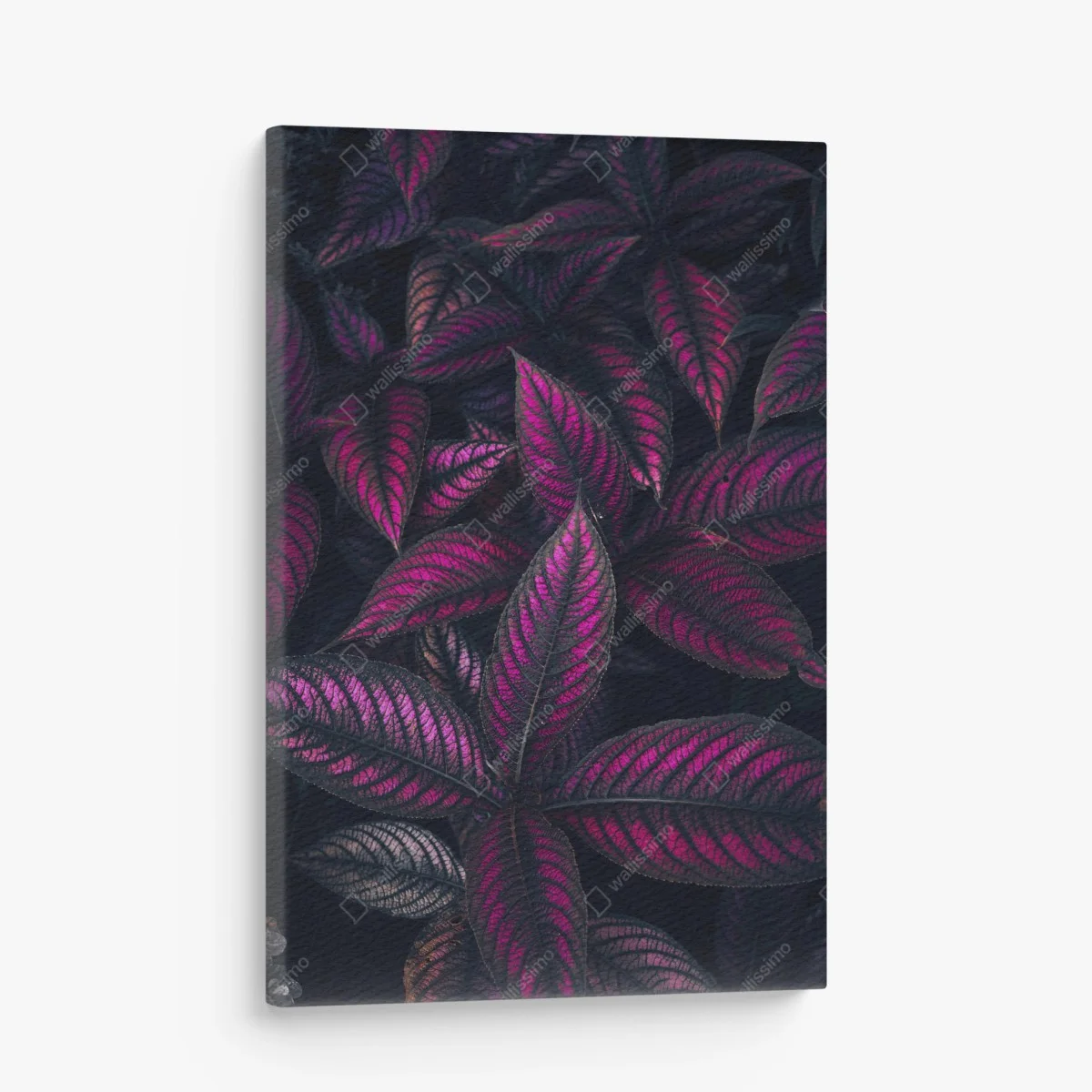 Canvas print vivid purple foliage pattern ⁕ Wallissimo® Canvas print vivid purple foliage pattern ⁕ Wallissimo®