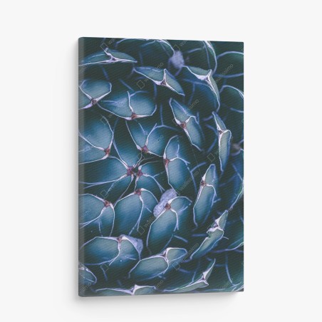 Canvas print geometric turquoise succulent close-up • Wallissimo®