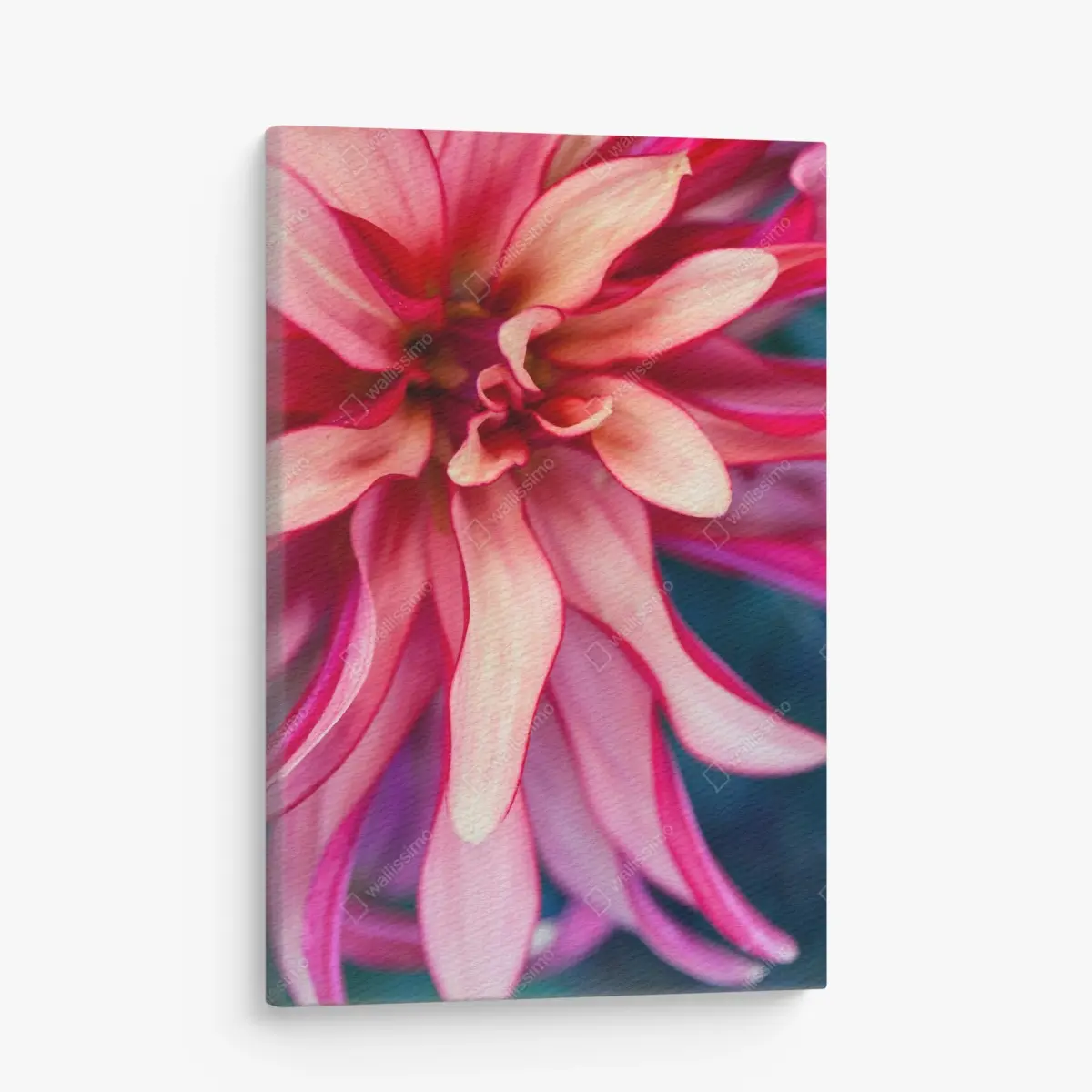 Canvas print vibrant pink floral close-up ⁕ Wallissimo® Canvas print vibrant pink floral close-up ⁕ Wallissimo®