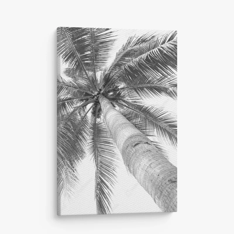 Canvas print monochrome palm tree from below