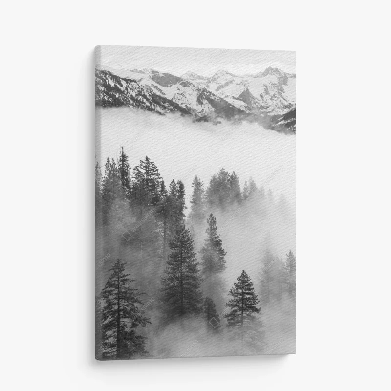 Canvas print misty Giant Forest, Sequoia National Park