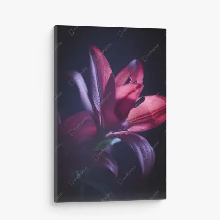 Canvas print crimson lily close-up • Wallissimo®