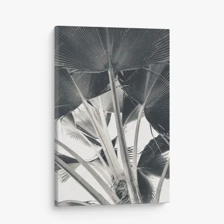Canvas print tropical banana leaf composition • Wallissimo®