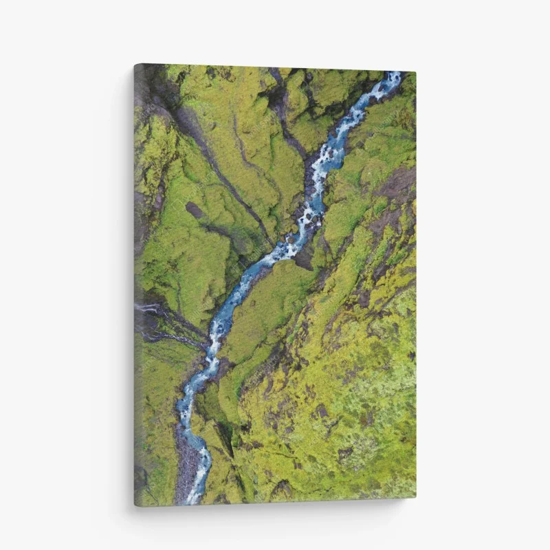 Canvas print aerial river through mossy canyon