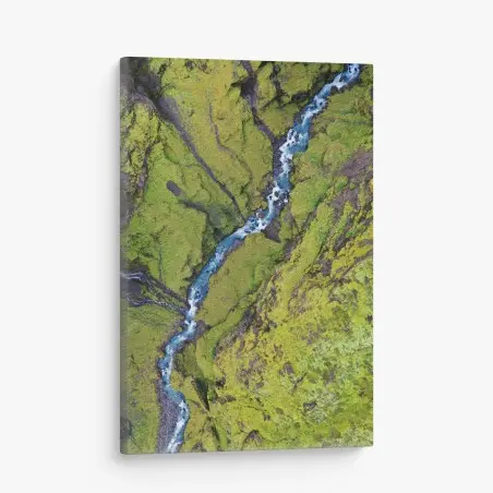 Canvas print aerial river through mossy canyon • Wallissimo®