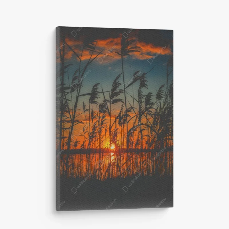 Canvas print sunset over lake with silhouetted reeds