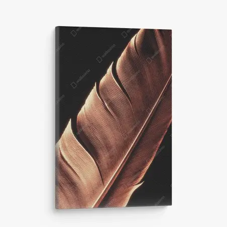 Canvas print golden feather macro on black • Wallissimo®