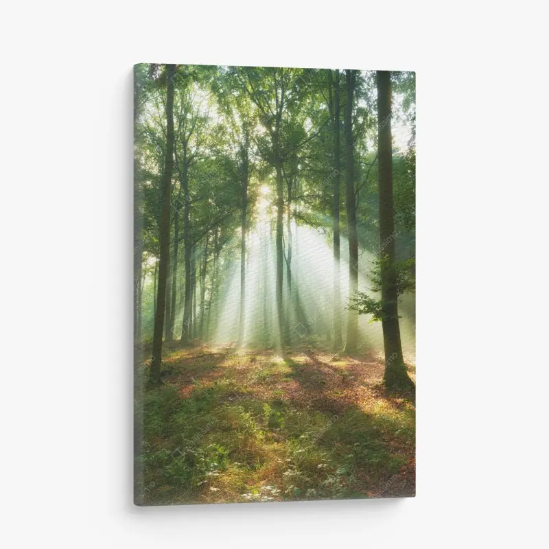 Canvas print ascending lines: modern bridge pylon • Wallissimo®