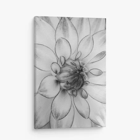 Canvas print monochrome dahlia close-up • Wallissimo®