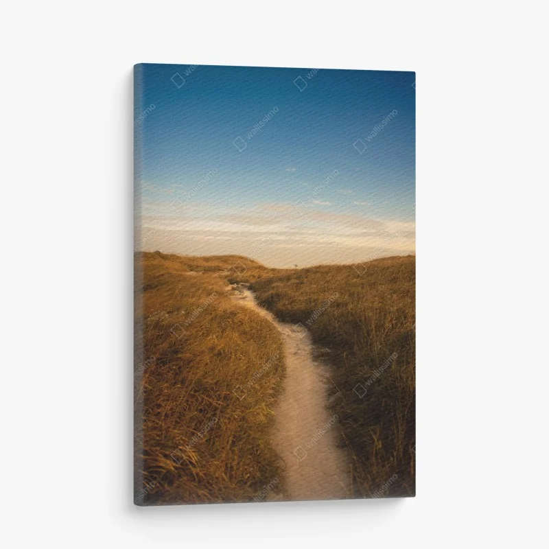 Canvas print sunlit dune path to the coast