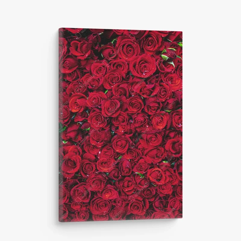 Canvas print lush red roses close-up