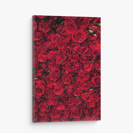 Canvas print lush red roses close-up • Wallissimo®