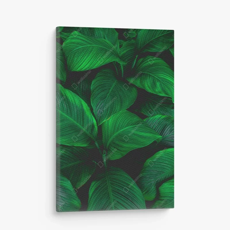 Canvas print lush tropical leaves wall art