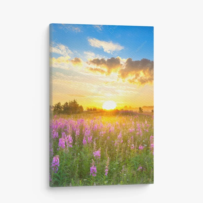Canvas print sunrise in a purple wildflower meadow