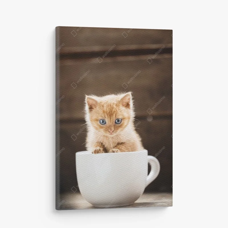 Canvas print ginger kitten in a teacup