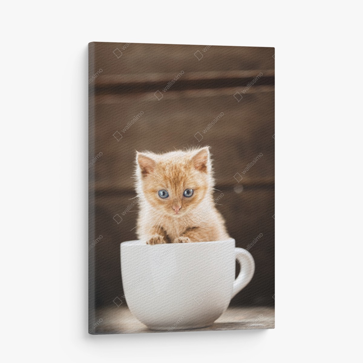 Canvas print ginger kitten in a teacup • Wallissimo®