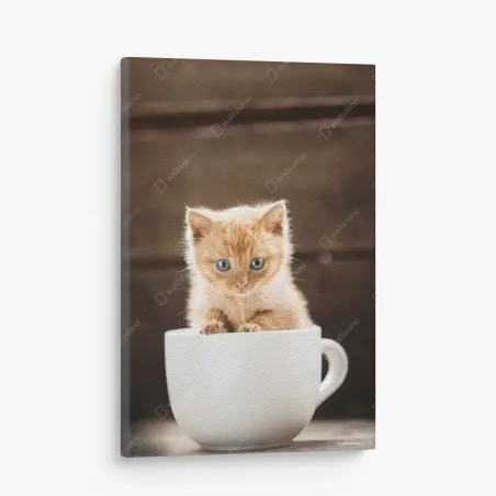 Canvas print ginger kitten in a teacup • Wallissimo®